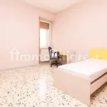 Rent 4 bedroom apartment of 100 m² in Campobasso