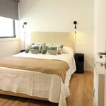 Rent 1 bedroom apartment in porto