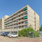 Rent 2 bedroom apartment of 53 m² in Gasthuiswijk