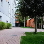 Rent 1 bedroom apartment of 24 m² in Brno