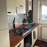 Rent 1 bedroom apartment of 45 m² in Urgnano