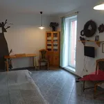 Rent 1 bedroom apartment of 30 m² in Železná Ruda