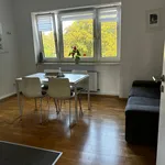 Rent 1 bedroom apartment of 75 m² in Dusseldorf