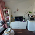 Rent a room of 16 m² in Het Zand Noord-West