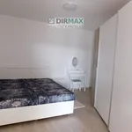 Rent 2 bedroom apartment of 55 m² in Plzeň