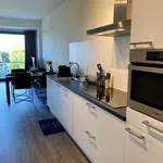 Studio of 538 m² in 's-Hertogenbosch