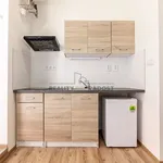 Rent 1 bedroom apartment of 21 m² in Brno