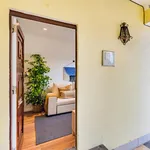 Rent 1 bedroom apartment in Lisbon