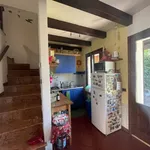 Rent 2 bedroom apartment of 65 m² in Verona