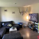 Rent 1 bedroom apartment in Gatineau