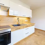 Rent 2 bedroom apartment of 60 m² in Aš