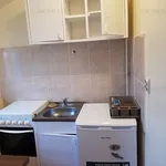 Rent 1 bedroom apartment of 24 m² in Timisoara