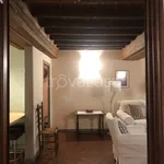 Rent 3 bedroom apartment of 60 m² in Firenze