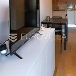 Rent 1 bedroom apartment of 45 m² in Split