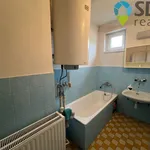 Rent 1 bedroom house in Záhumení