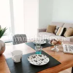 Rent 2 bedroom apartment of 45 m² in Como