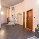 Rent 1 bedroom apartment of 41 m² in Torino