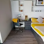 Rent 20 bedroom apartment in London