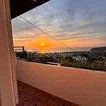 2-room flat via Pennanova, Centro, Forio d'Ischia