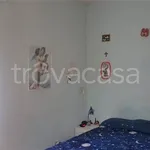 Rent 1 bedroom apartment of 38 m² in Torino