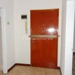 Rent 3 bedroom apartment of 80 m² in Padua