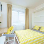 Studio o rozloze 20 m² v prague