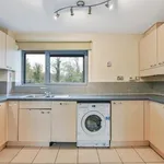 Rent 2 bedroom flat in London