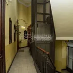 Rent 3 bedroom apartment of 70 m² in Turin