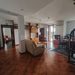 Rent 4 bedroom apartment of 134 m² in Pavia