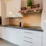 Rent 1 bedroom apartment of 40 m² in Florence