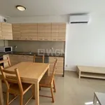 Rent 5 bedroom apartment of 140 m² in Szczecin