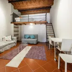 Rent 1 bedroom apartment in Florence