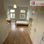 Rent 1 bedroom apartment in Capital City of Prague