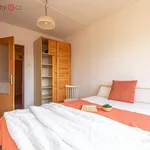 Rent 2 bedroom apartment of 41 m² in Litvínov