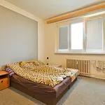 Rent 1 bedroom apartment in Brno