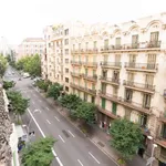 Rent a room of 250 m² in barcelona