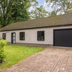 Huur 3 slaapkamer huis van 1300 m² in Kalmthout