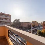 Rent 1 bedroom apartment in Bologna