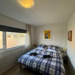 Rent 3 bedroom house of 146 m² in Eindhoven