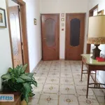 Rent 3 bedroom apartment of 80 m² in Turin