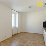 Rent 2 bedroom apartment of 43 m² in Pilsen