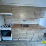 Rent 2 bedroom apartment of 40 m² in Ústí nad Labem