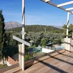 Rent 4 bedroom house of 310 m² in Anavissos Municipal Unit