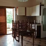 Rent 2 bedroom apartment of 50 m² in Vibo Valentia