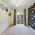 Rent 1 bedroom house in East Of England