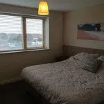 Rent a room in dublin