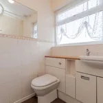 Semi-detached bungalow to rent in Exeter Avenue, Radcliffe, Manchester M26