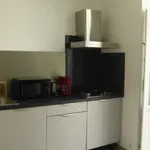 Rent 2 bedroom apartment of 49 m² in Pau