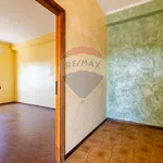 Rent 3 bedroom apartment of 94 m² in Roma