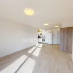 Rent 2 bedroom apartment in Brno